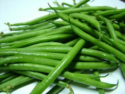 Frenchbean